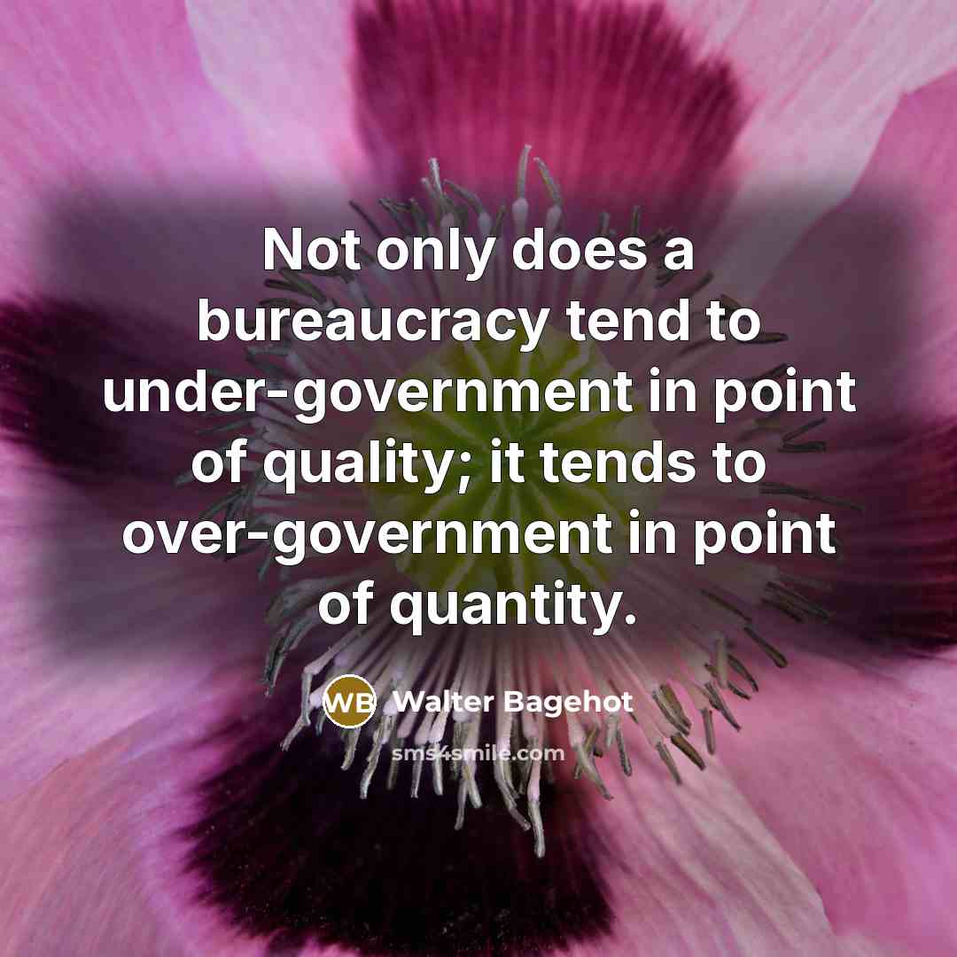 “Not only does a bureaucracy tend to under-government in point…” quote by Walter Bagehot