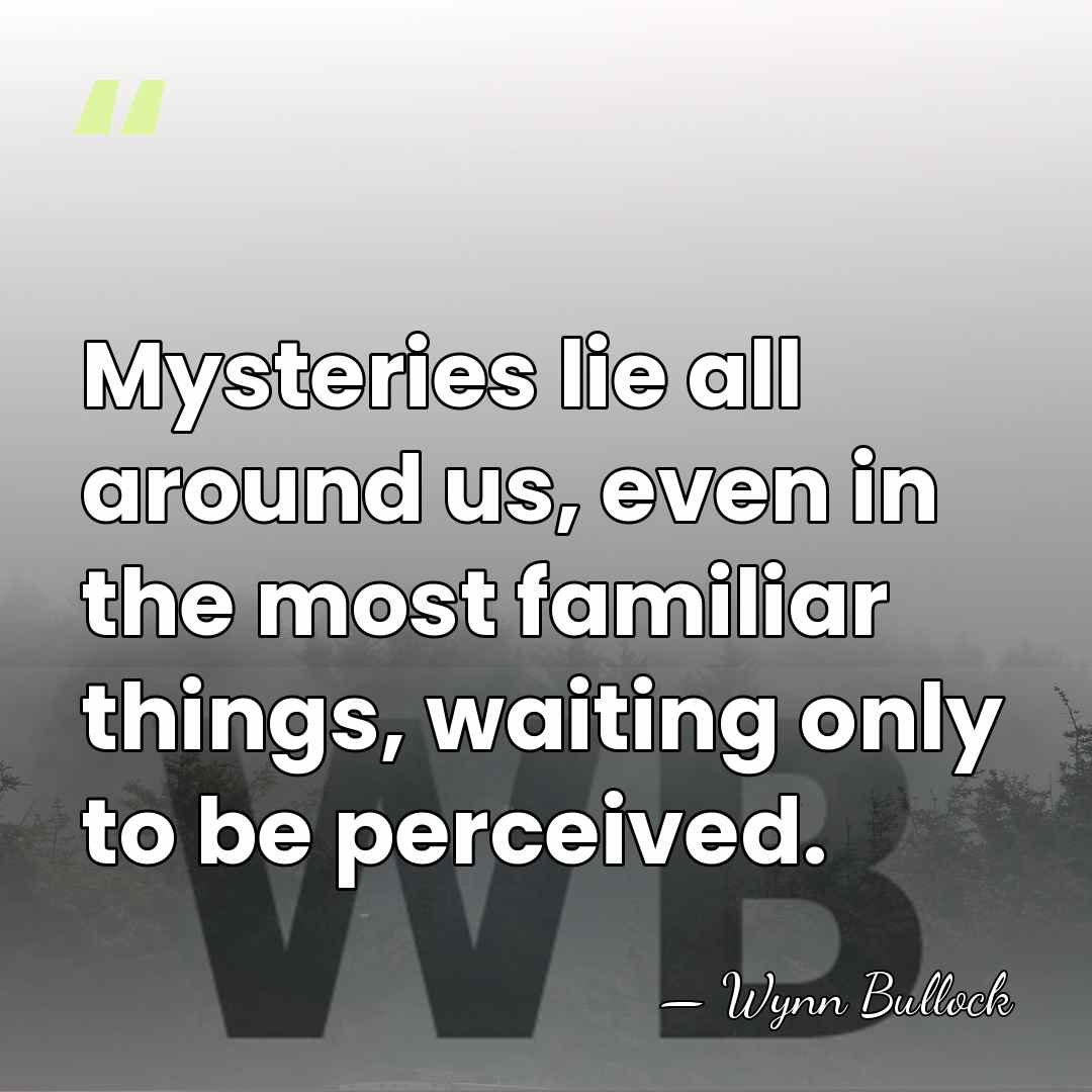 Mysteries lie all around us, even in the most familiar things, waiting&hellip; - Wynn Bullock