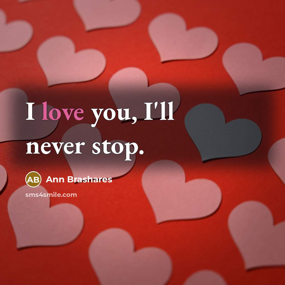 “I love you, I'll never stop.…” quote by Ann Brashares