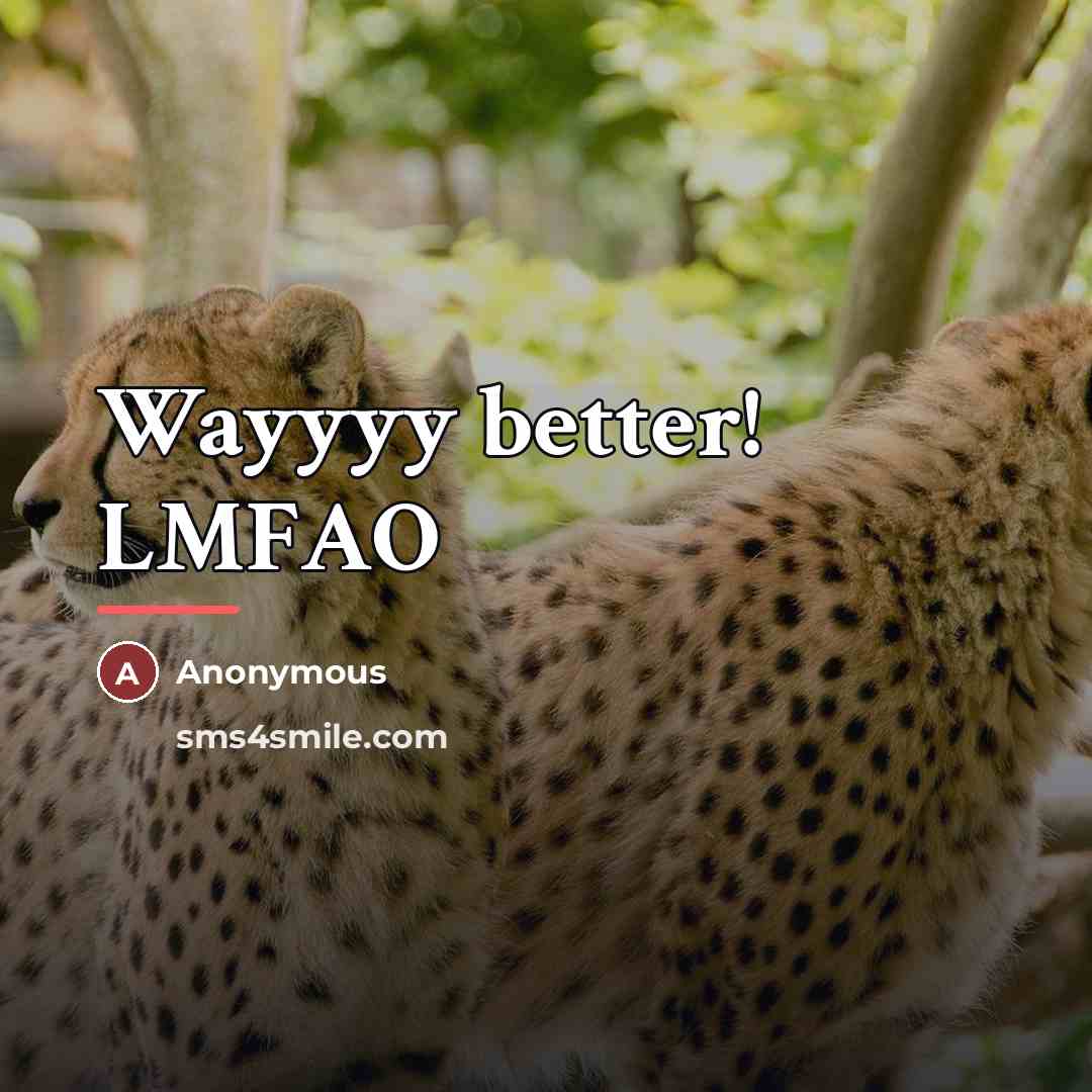 “Wayyyy better! LMFAO…” quote by Anonymous