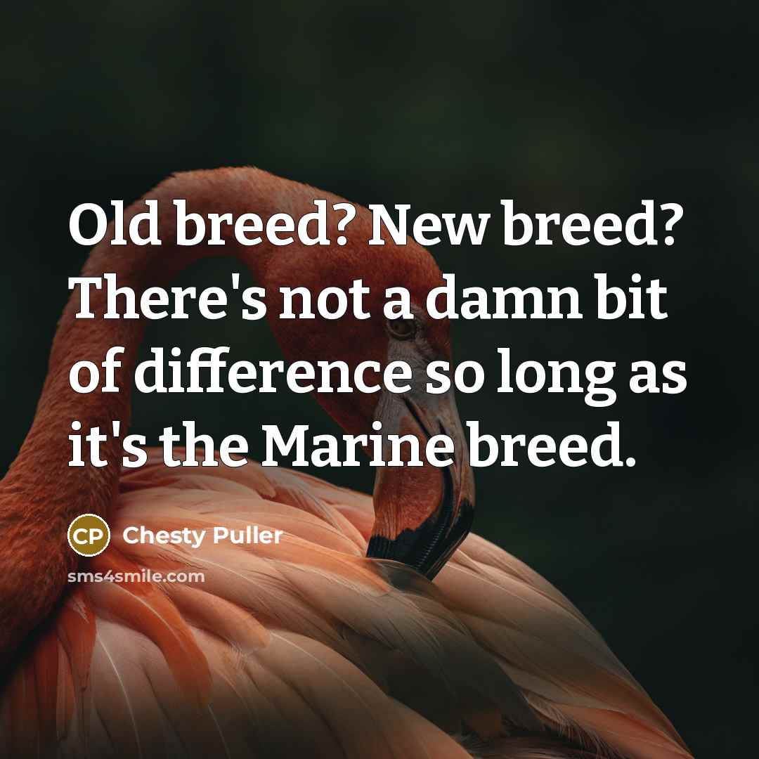 “Old breed? New breed? There's not a damn bit of difference so long as it's the Marine breed.” quote by Chesty Puller