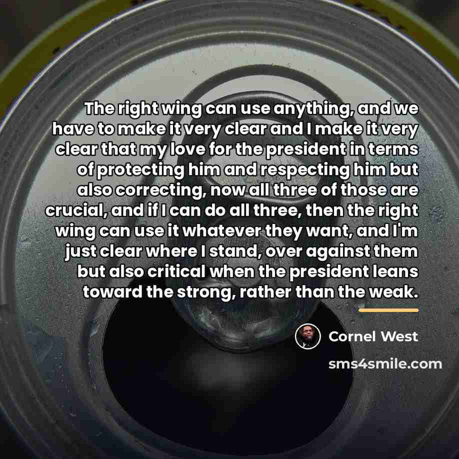 “The right wing can use anything, and we have to…” quote by Cornel West