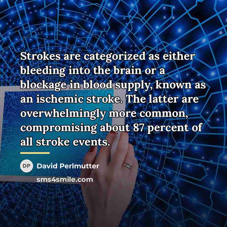 “Strokes are categorized as either bleeding into the brain or…” quote by David Perlmutter