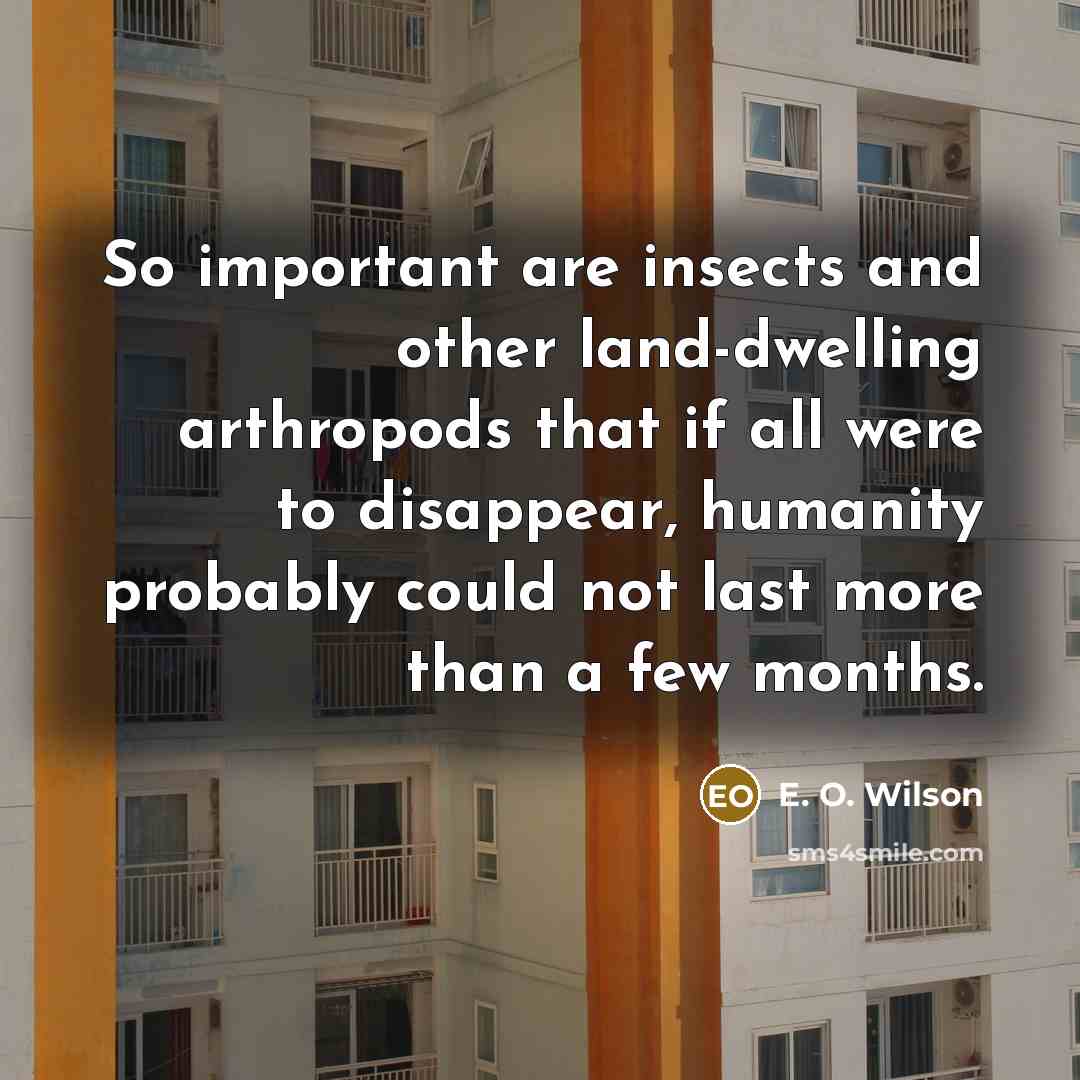 “So important are insects and other land-dwelling arthropods that if…” quote by E. O. Wilson