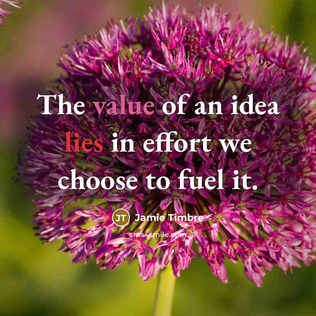 “The value of an idea lies in effort we choose…” quote by Jamie Timbre