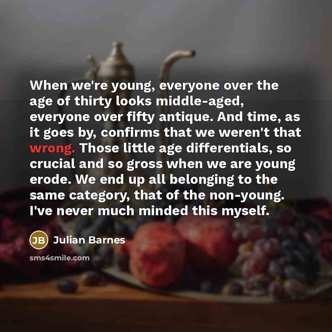 “When we're young, everyone over the age of thirty looks…” quote by Julian Barnes