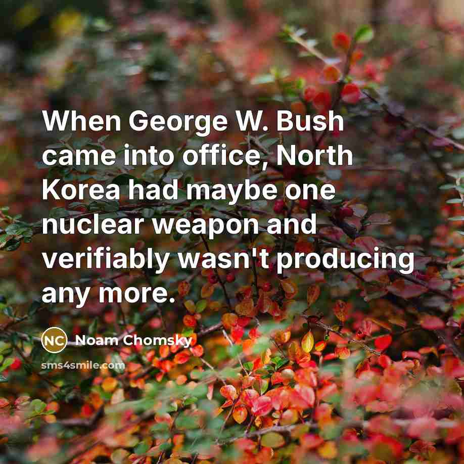 “When George W. Bush came into office, North Korea had…” quote by Noam Chomsky