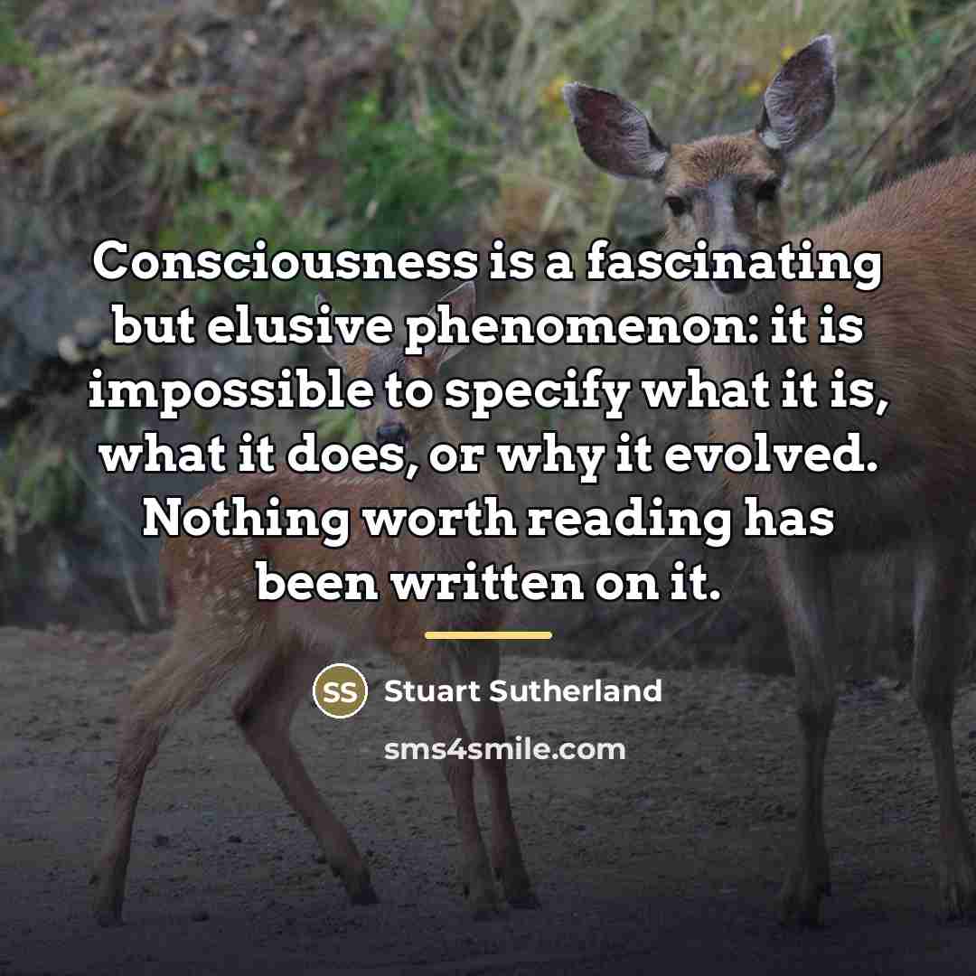 “Consciousness is a fascinating but elusive phenomenon: it is impossible…” quote by Stuart Sutherland