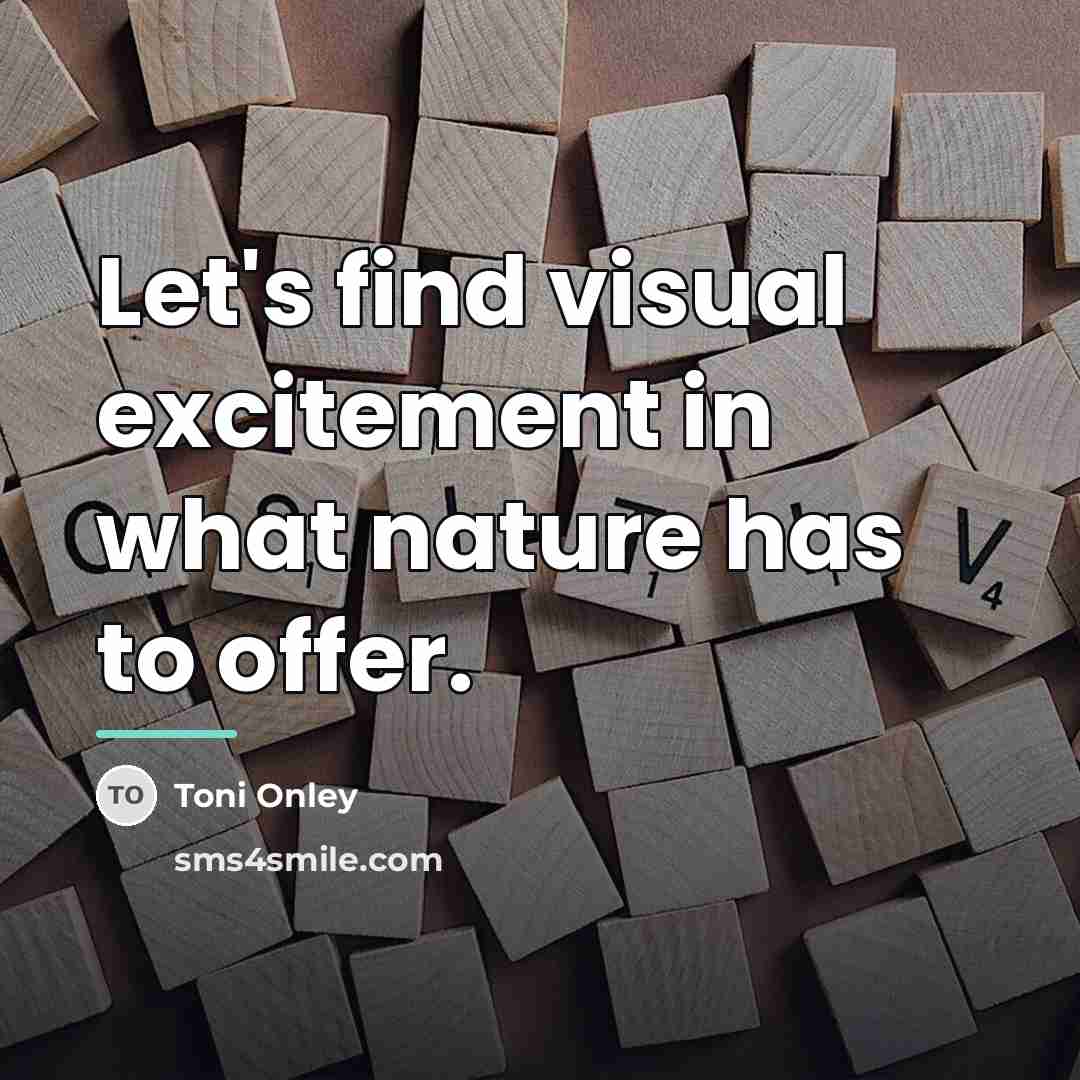 “Let's find visual excitement in what nature has to offer.…” quote by Toni Onley