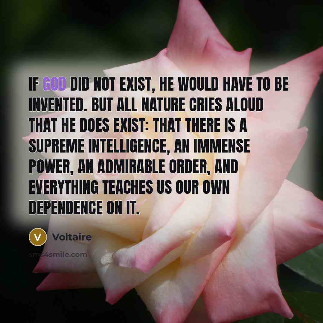 “If God did not exist, He would have to be…” quote by Voltaire