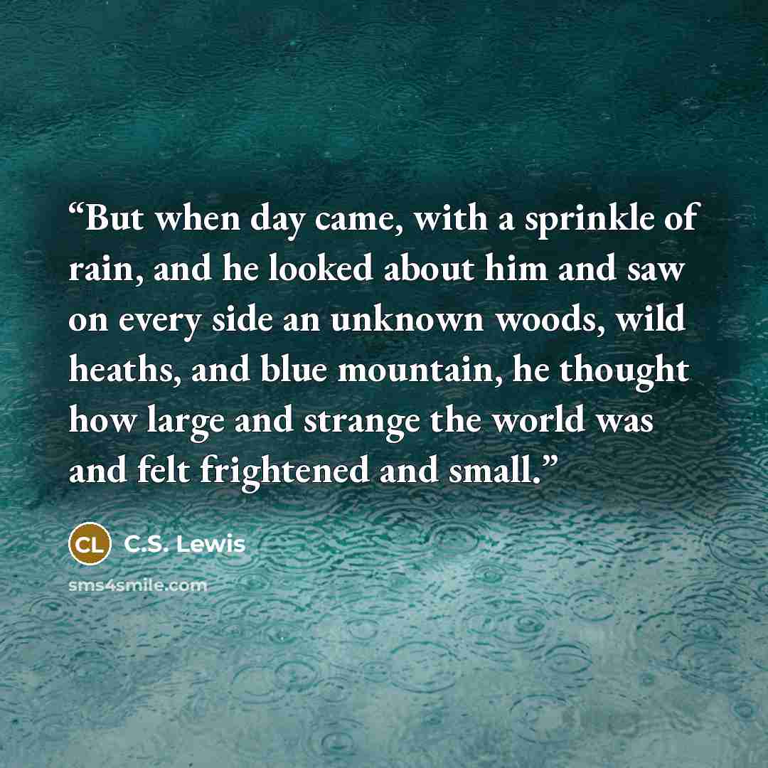 “But when day came, with a sprinkle of rain, and he looked about him and saw on every side an unknown woods, wild heaths, and blue mountain, he thought how large and strange the world was and felt frightened and small.” quote by C.S. Lewis