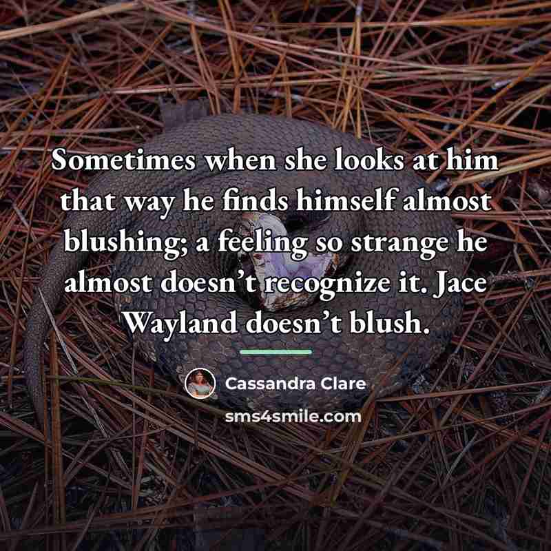 “Sometimes when she looks at him that way he finds…” quote by Cassandra Clare