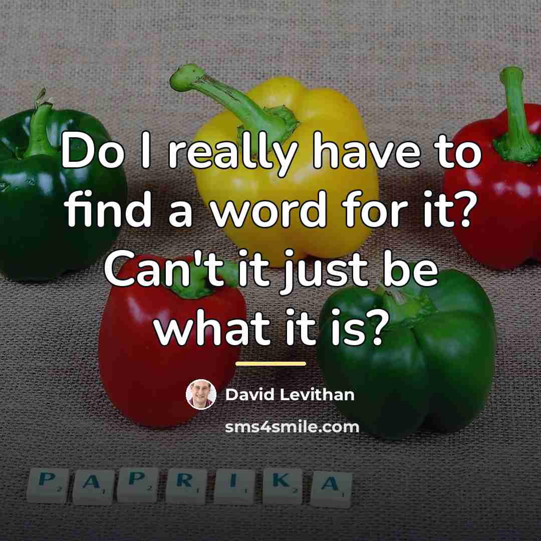 “Do I really have to find a word for it?…” quote by David Levithan