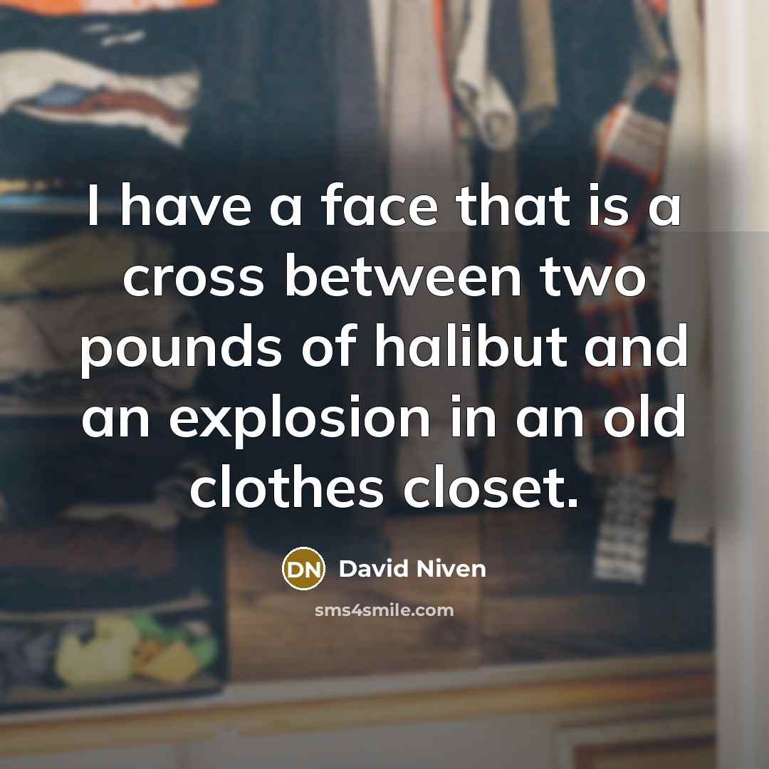 “I have a face that is a cross between two…” quote by David Niven