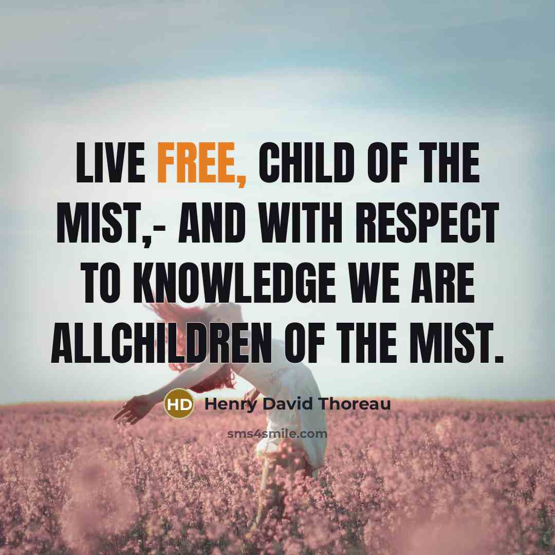 “Live free, child of the mist,- and with respect to…” quote by Henry David Thoreau