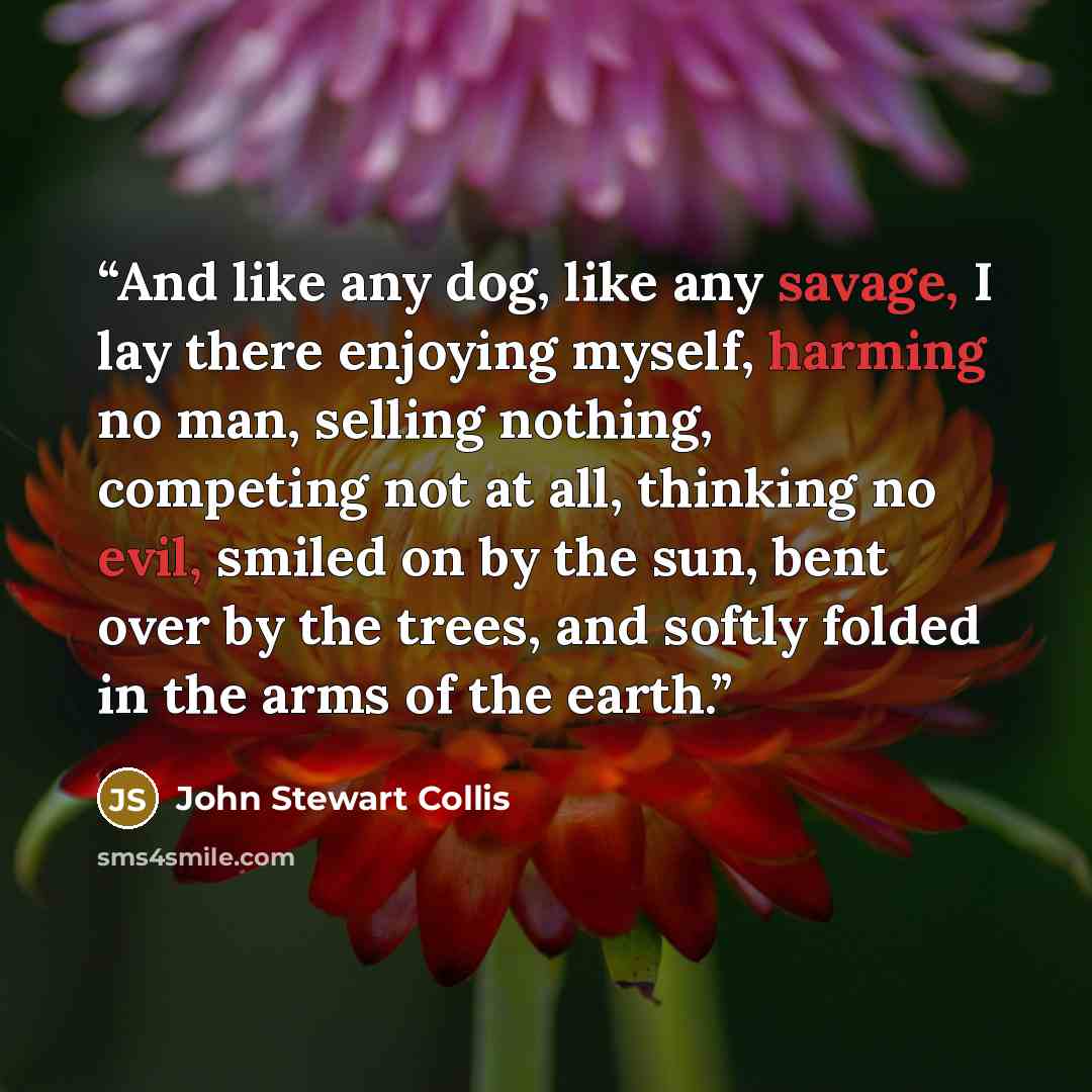“And like any dog, like any savage, I lay there enjoying myself, harming no man, selling nothing, competing not at all, thinking no evil, smiled on by the sun, bent over by the trees, and softly folded in the arms of the earth.” quote by John Stewart Collis