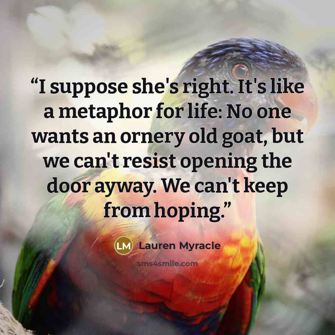“I suppose she's right. It's like a metaphor for life: No one wants an ornery old goat, but we can't resist opening the door ayway. We can't keep from hoping.” quote by Lauren Myracle