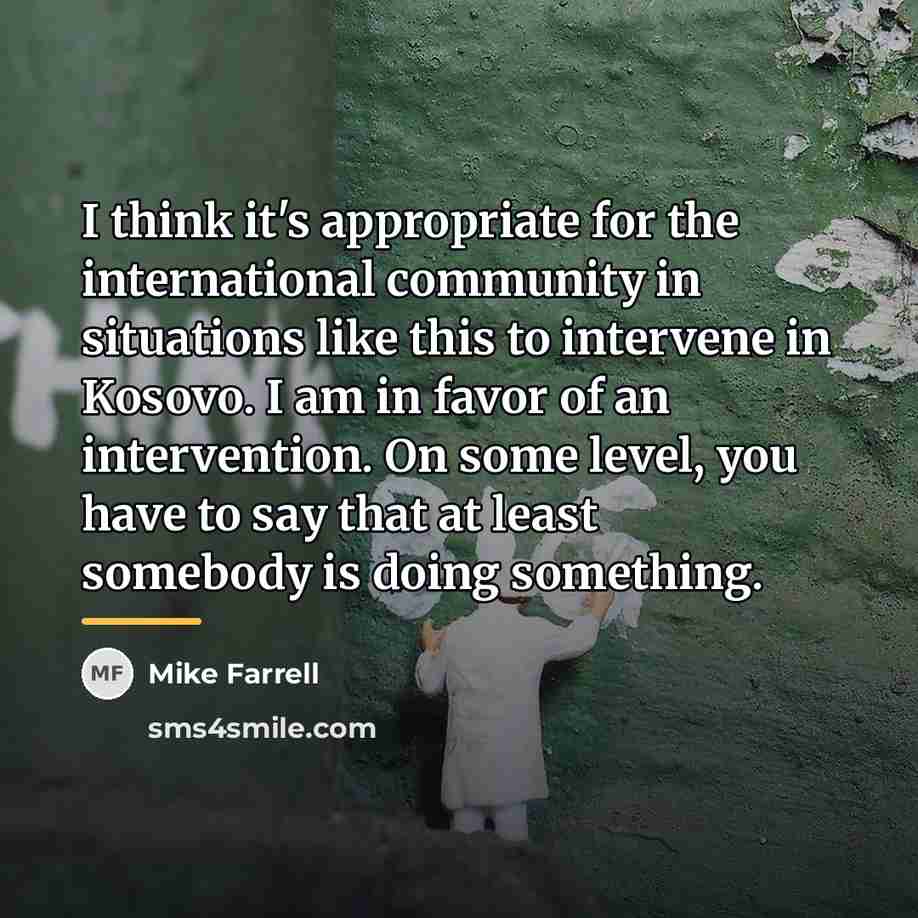 “I think it's appropriate for the international community in situations…” quote by Mike Farrell