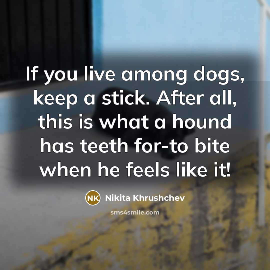 “If you live among dogs, keep a stick. After all,…” quote by Nikita Khrushchev