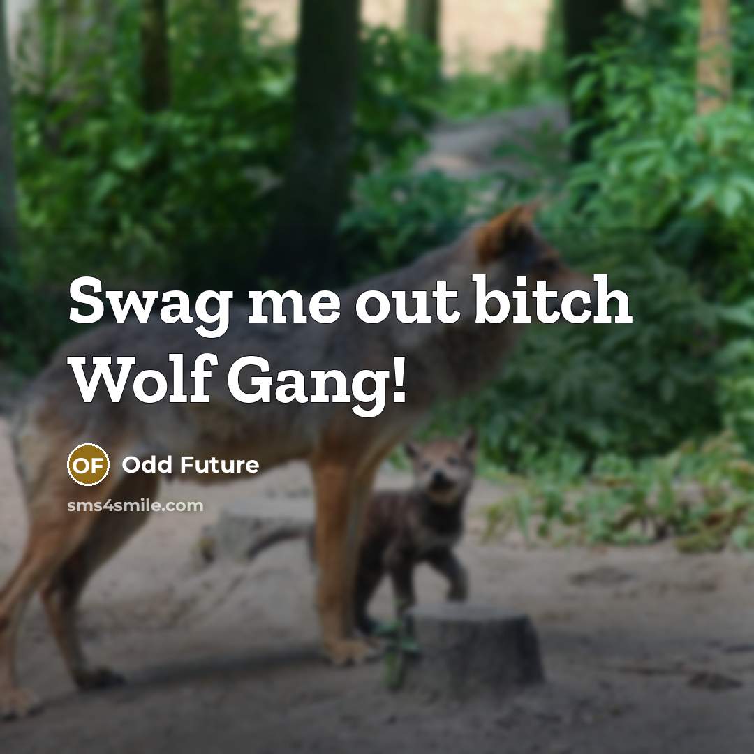 “Swag me out bitch Wolf Gang!” quote by Odd Future