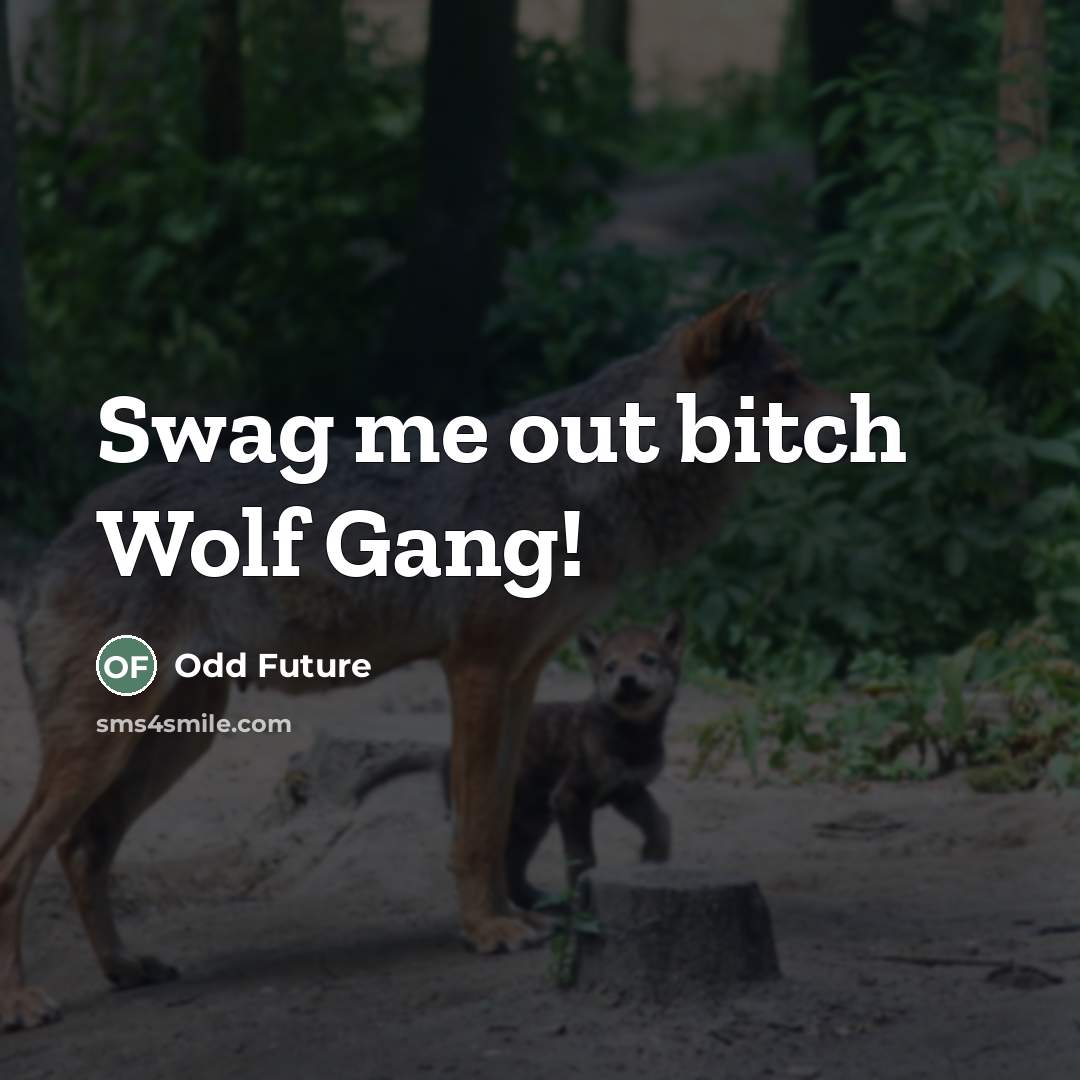 “Swag me out bitch Wolf Gang!…” quote by Odd Future