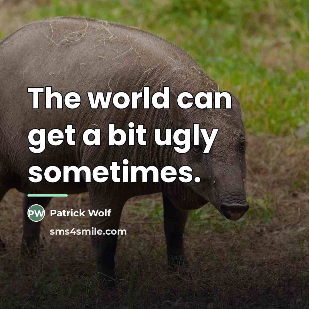 “The world can get a bit ugly sometimes.…” quote by Patrick Wolf