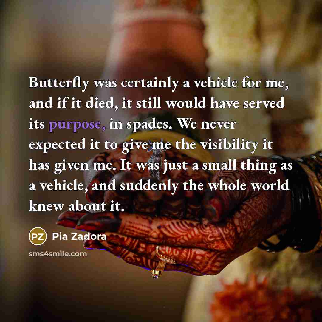 “Butterfly was certainly a vehicle for me, and if it…” quote by Pia Zadora