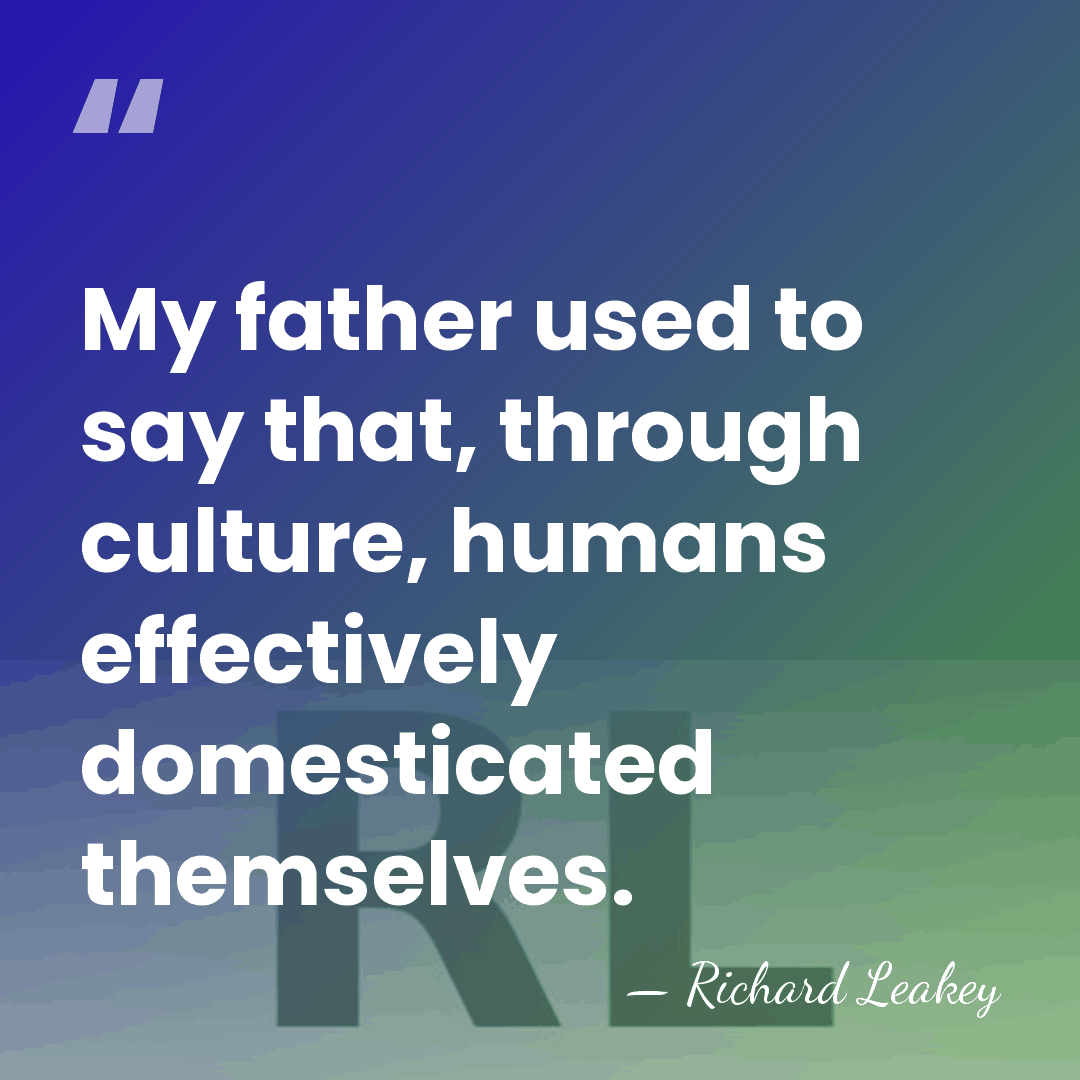 My father used to say that, through culture, humans effectively domesticated themselves. - Richard Leakey