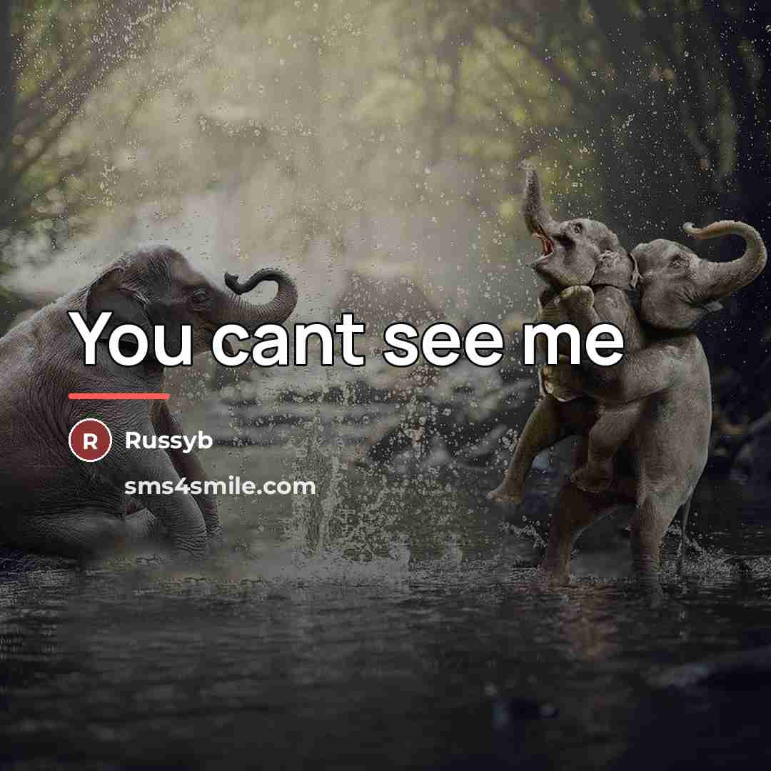 “You cant see me…” quote by Russyb