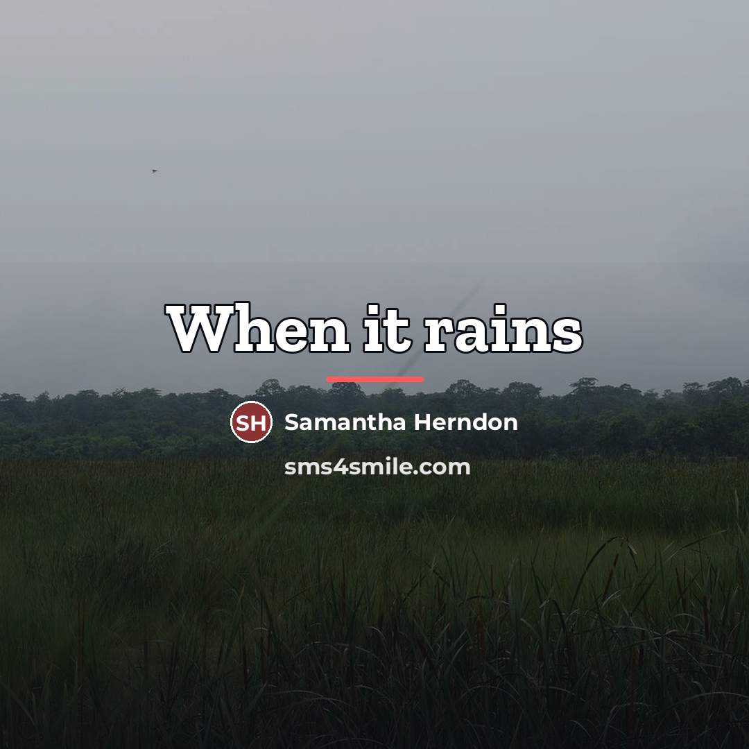 “When it rains…” quote by Samantha Herndon