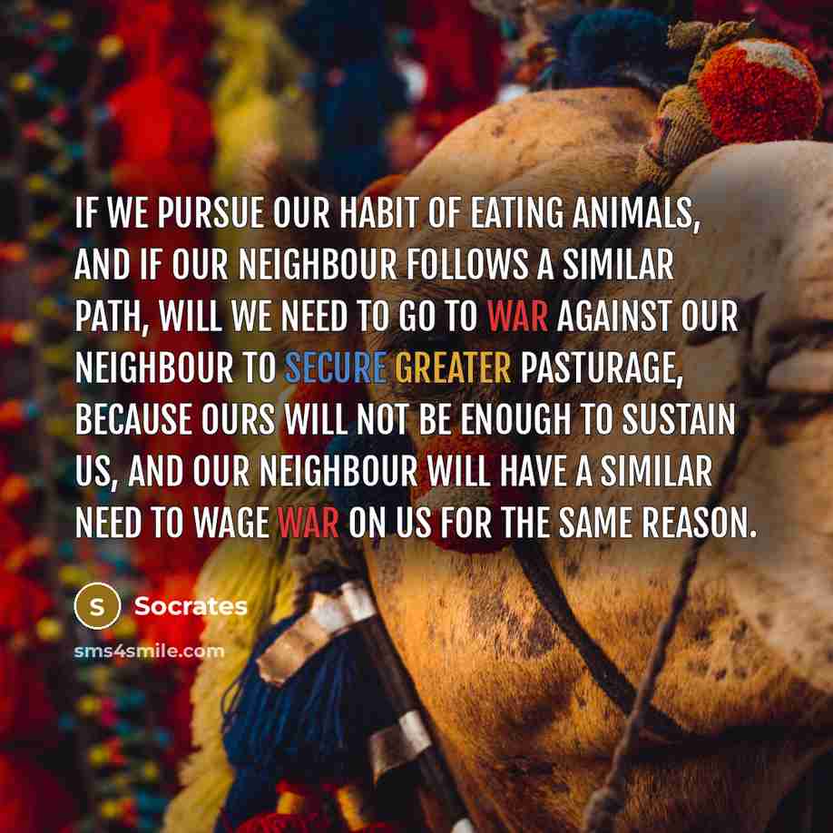 “If we pursue our habit of eating animals, and if…” quote by Socrates