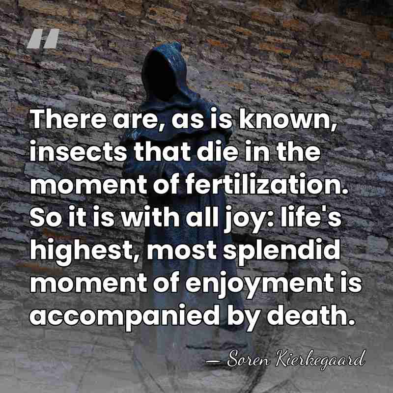 There are, as is known, insects that die in the moment of&hellip; - Soren Kierkegaard