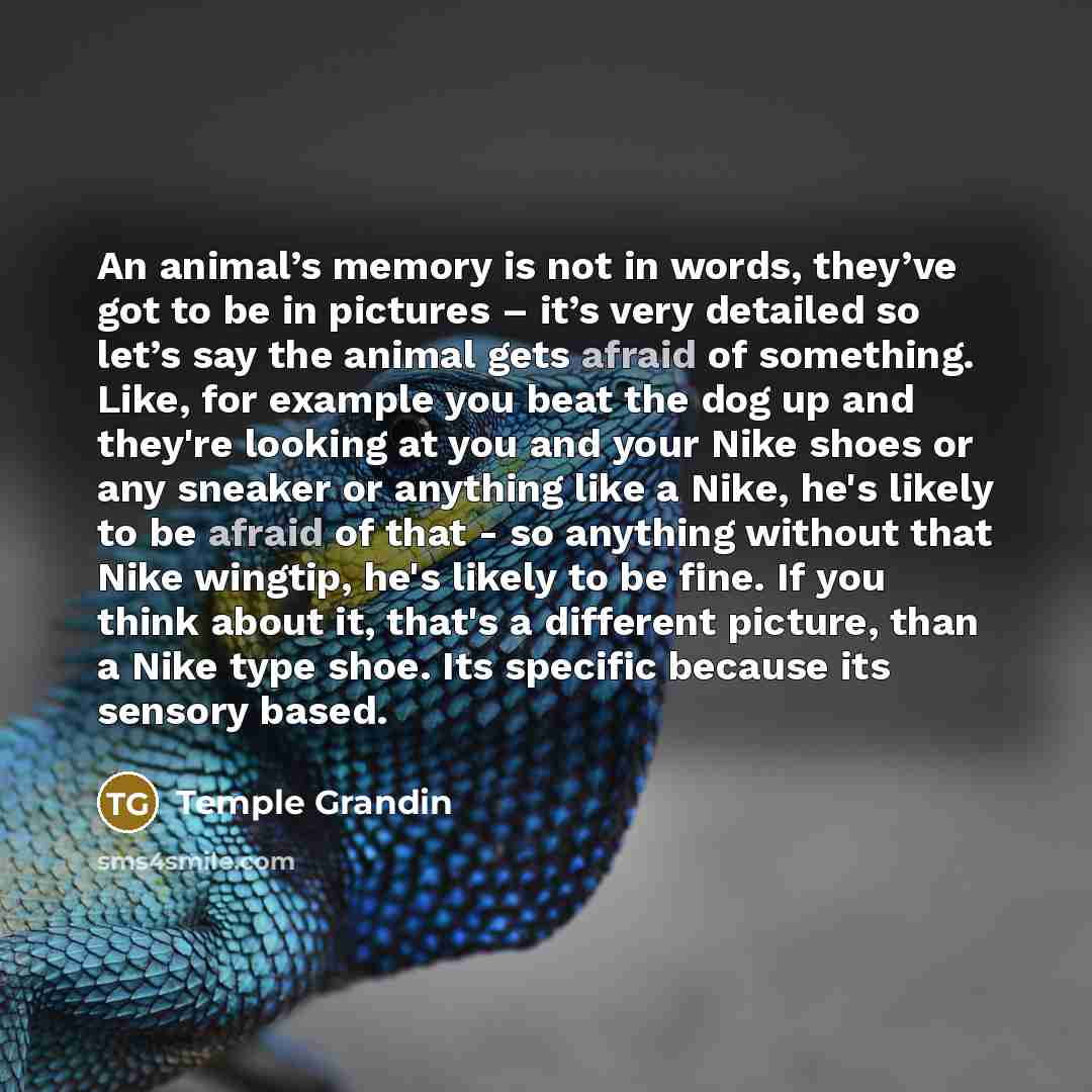 “An animal’s memory is not in words, they’ve got to be in pictures – it’s very detailed so let’s say the animal gets afraid of something. Like, for example you beat the dog up and they're looking at you and your Nike shoes or any sneaker or anything like a Nike, he's likely to be afraid of that…” quote by Temple Grandin