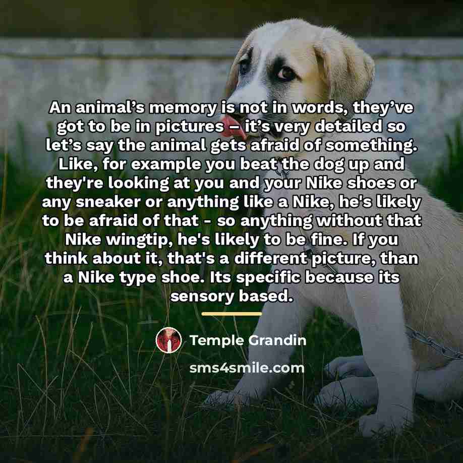 “An animal’s memory is not in words, they’ve got to…” quote by Temple Grandin
