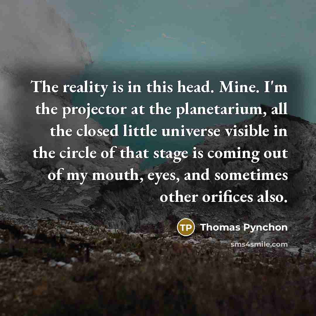 “The reality is in this head. Mine. I'm the projector…” quote by Thomas Pynchon