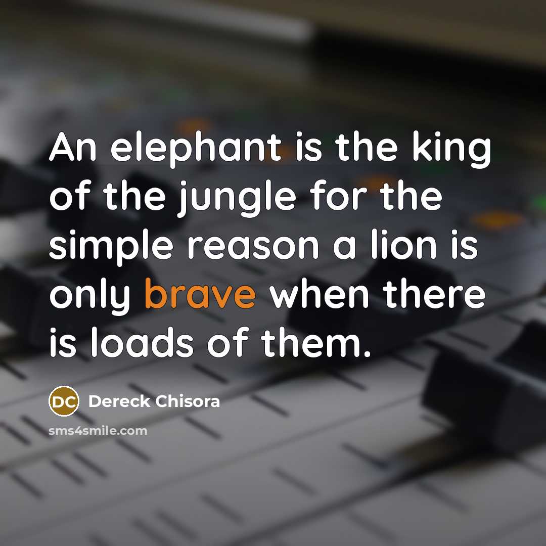 “An elephant is the king of the jungle for the…” quote by Dereck Chisora