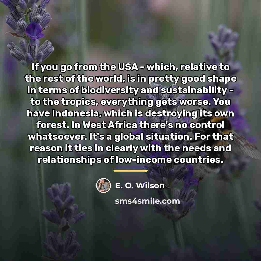 “If you go from the USA - which, relative to…” quote by E. O. Wilson