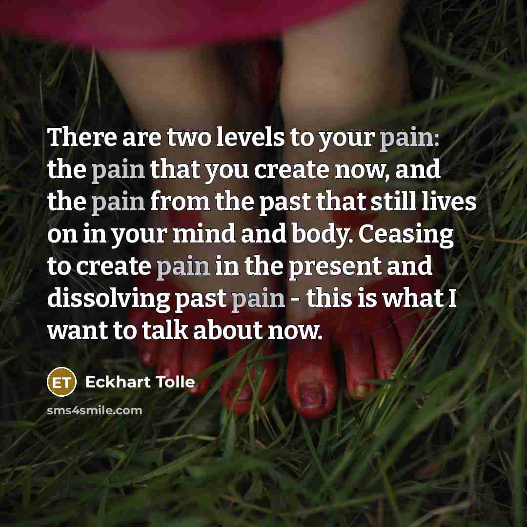 “There are two levels to your pain: the pain that…” quote by Eckhart Tolle