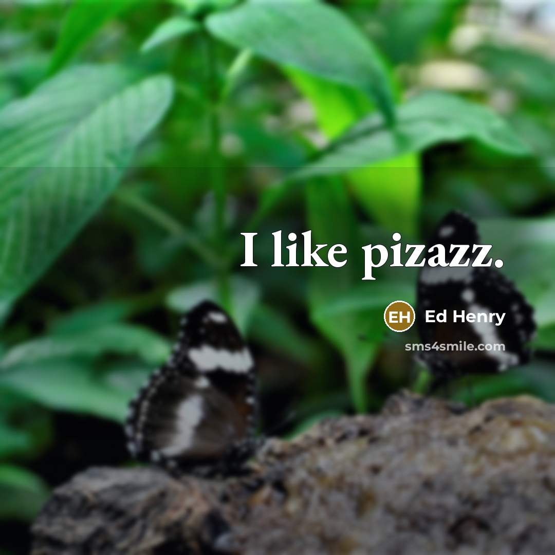 “I like pizazz.…” quote by Ed Henry