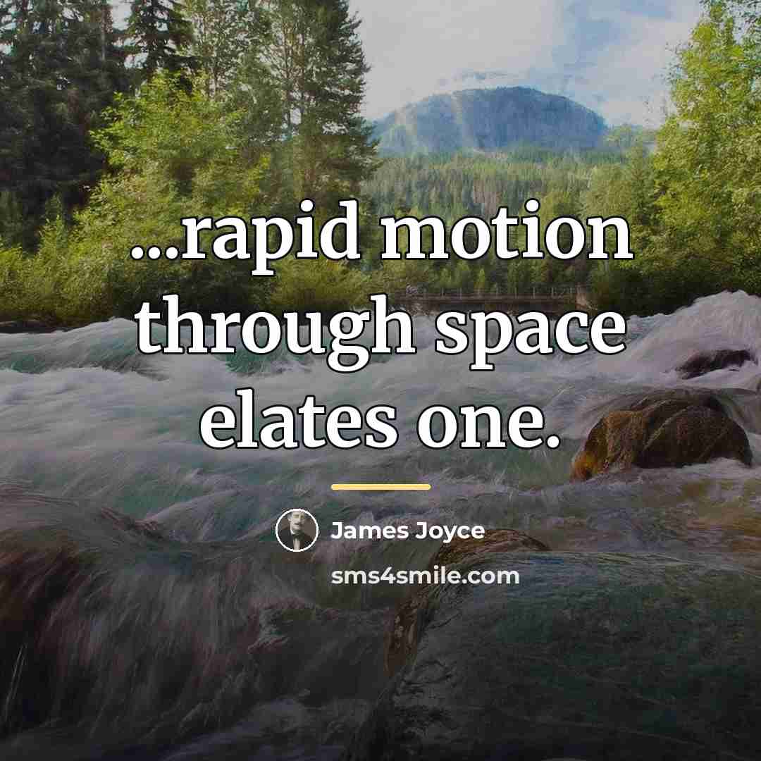 “...rapid motion through space elates one.…” quote by James Joyce