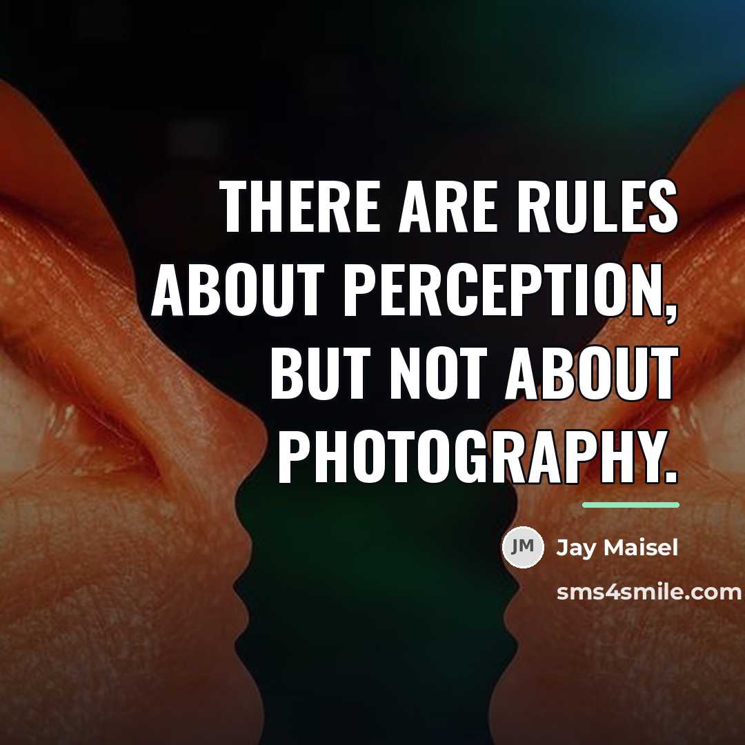 “There are rules about perception, but not about photography.…” quote by Jay Maisel