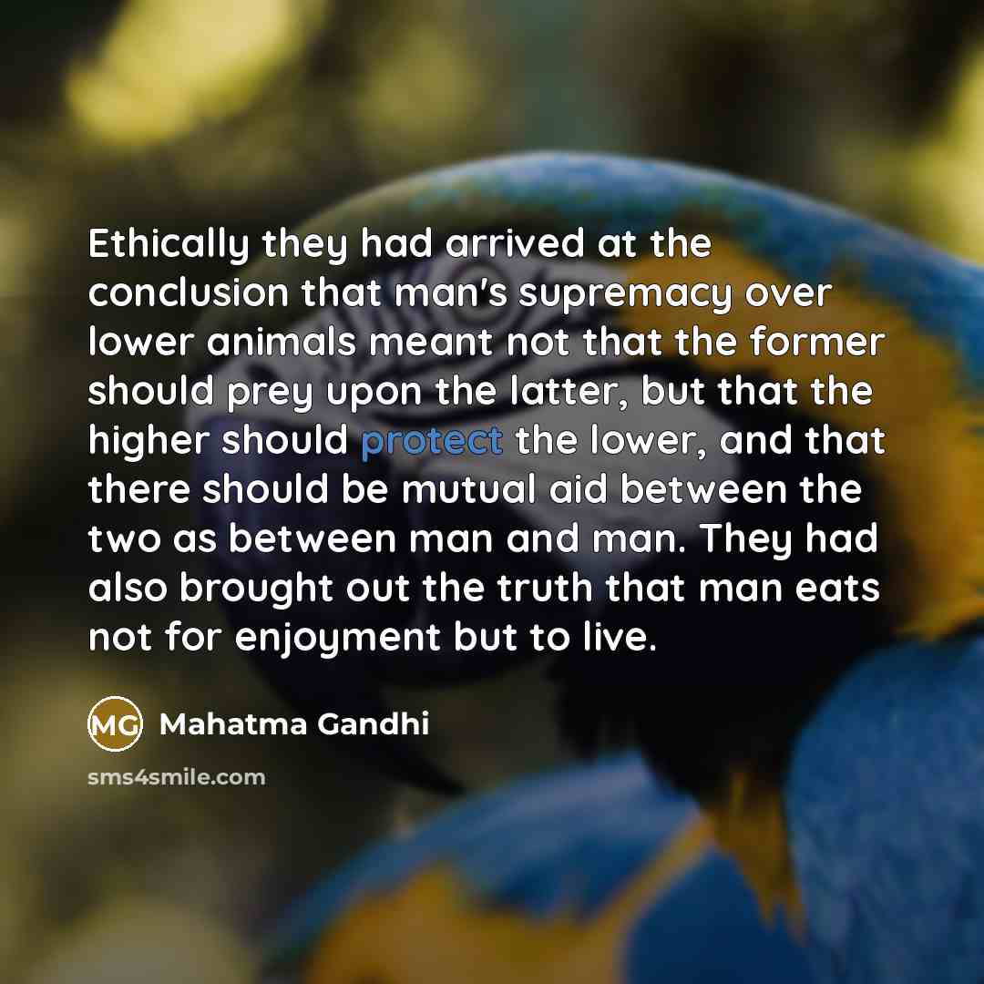 “Ethically they had arrived at the conclusion that man's supremacy…” quote by Mahatma Gandhi