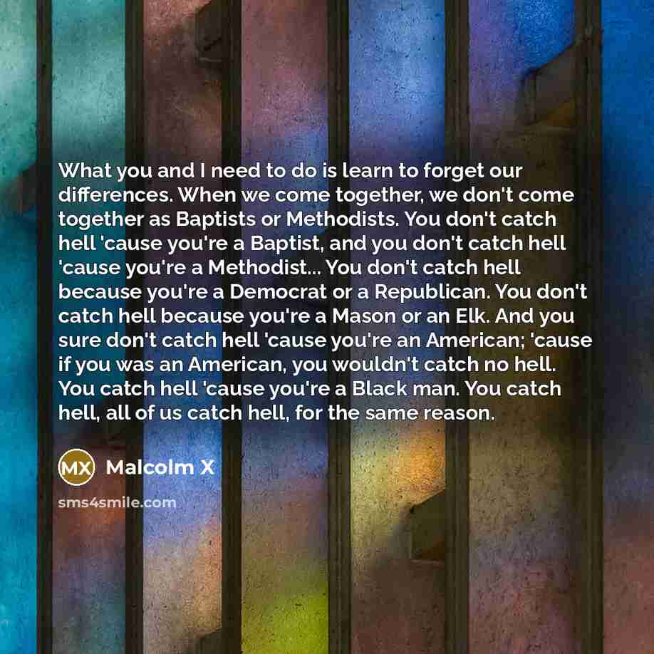 “What you and I need to do is learn to forget our differences. When we come together, we don't come together as Baptists or Methodists. You don't catch hell 'cause you're a Baptist, and you don't catch hell 'cause you're a Methodist... You don't catch hell because you're a Democrat or a Republican…” quote by Malcolm X