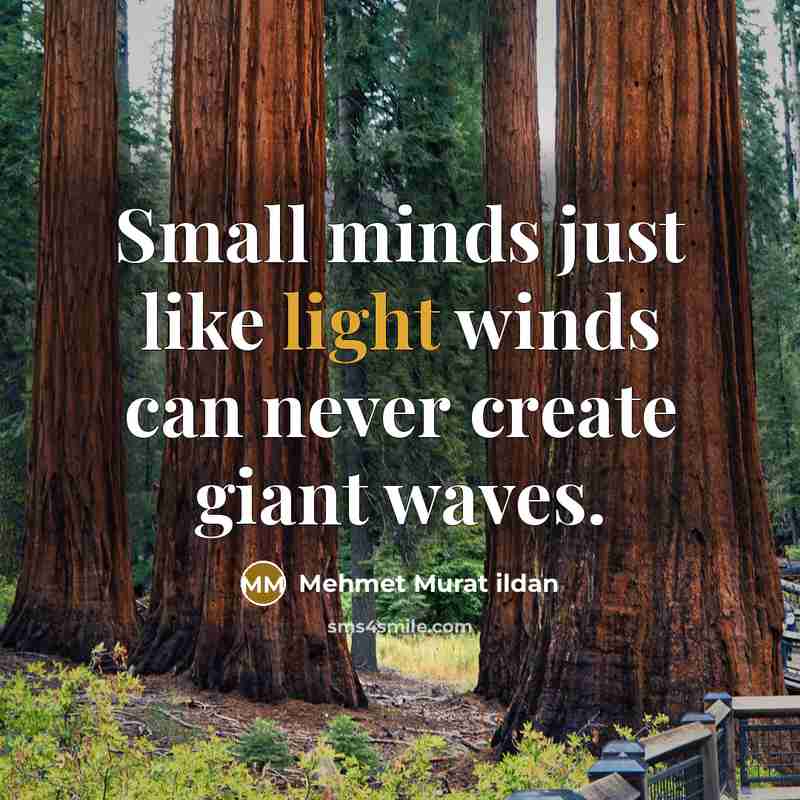 “Small minds just like light winds can never create giant…” quote by Mehmet Murat Ildan