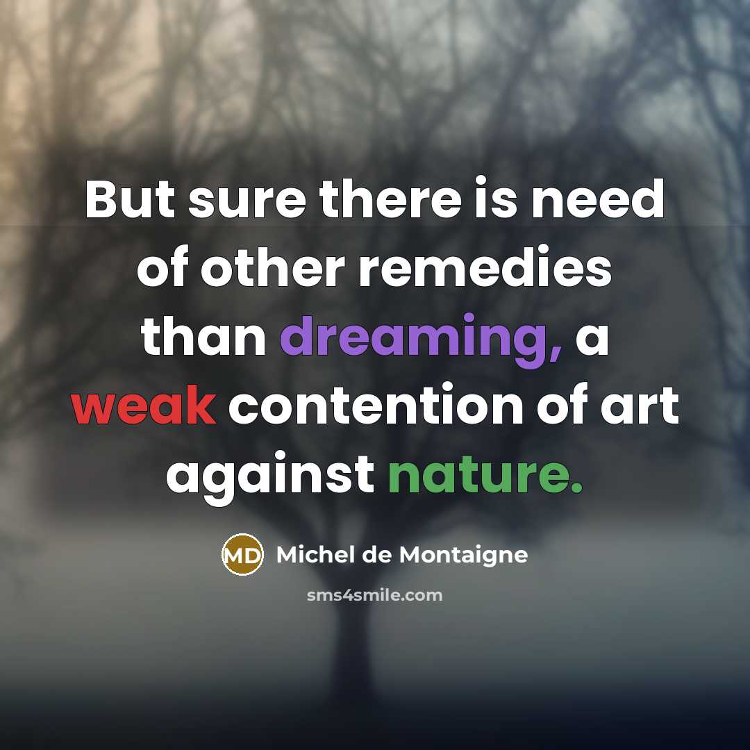 “But sure there is need of other remedies than dreaming,…” quote by Michel de Montaigne