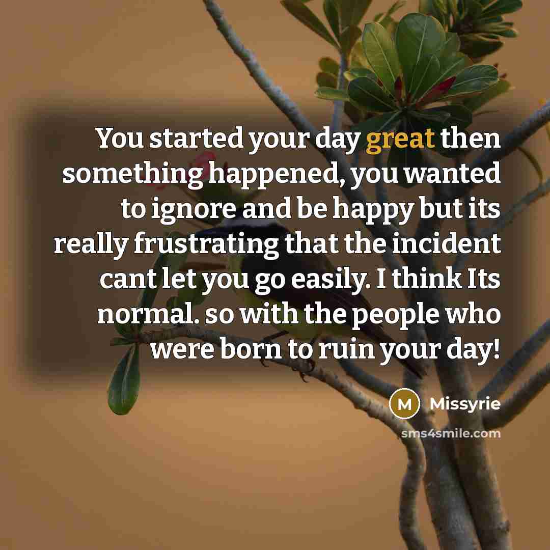 “You started your day great then something happened, you wanted…” quote by Missyrie