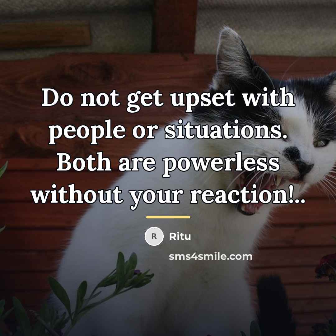 “Do not get upset with people or situations. Both are…” quote by Ritu
