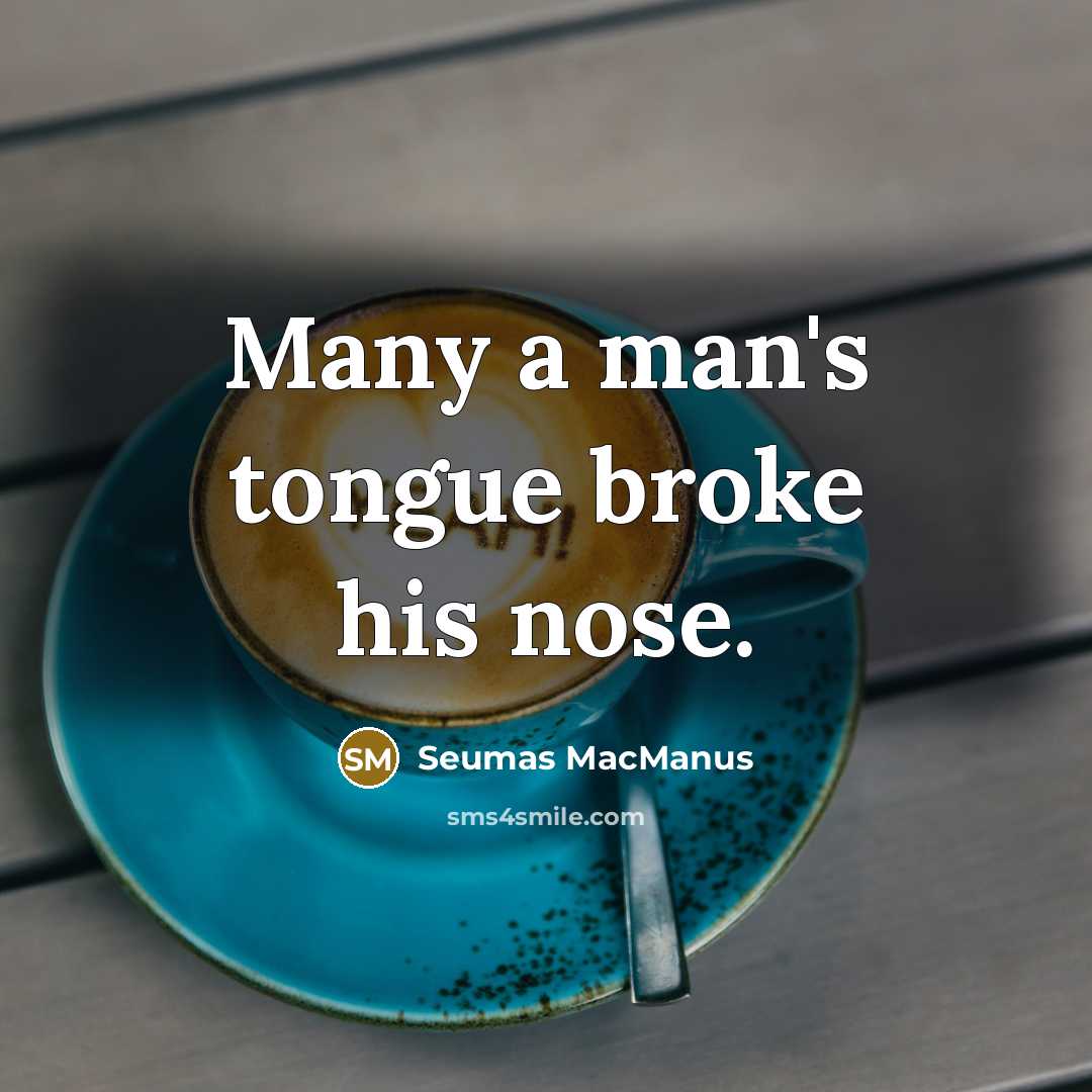“Many a man's tongue broke his nose.…” quote by Seumas MacManus