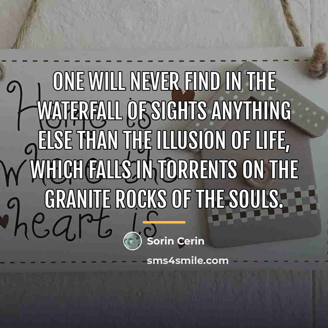 “One will never find in the waterfall of sights anything…” quote by Sorin Cerin