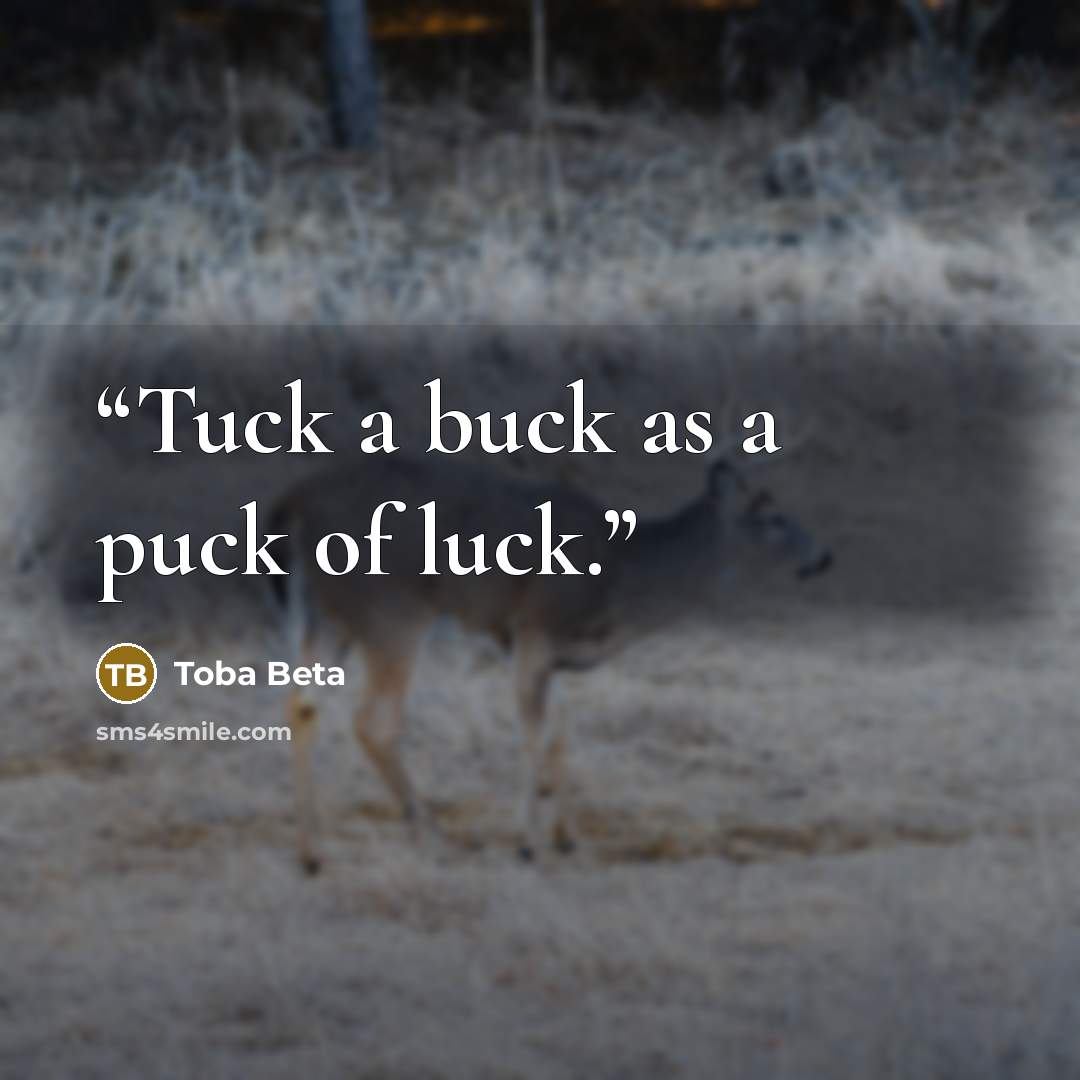 “Tuck a buck as a puck of luck.” quote by Toba Beta
